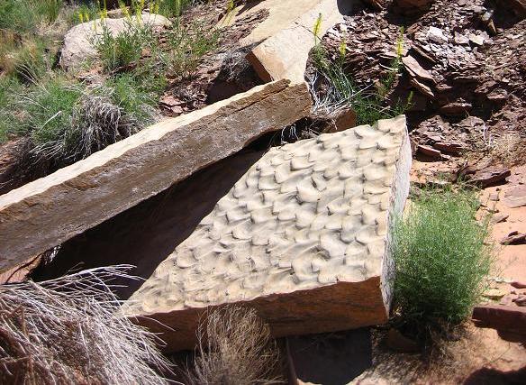 Wavy Pattern Siltstone