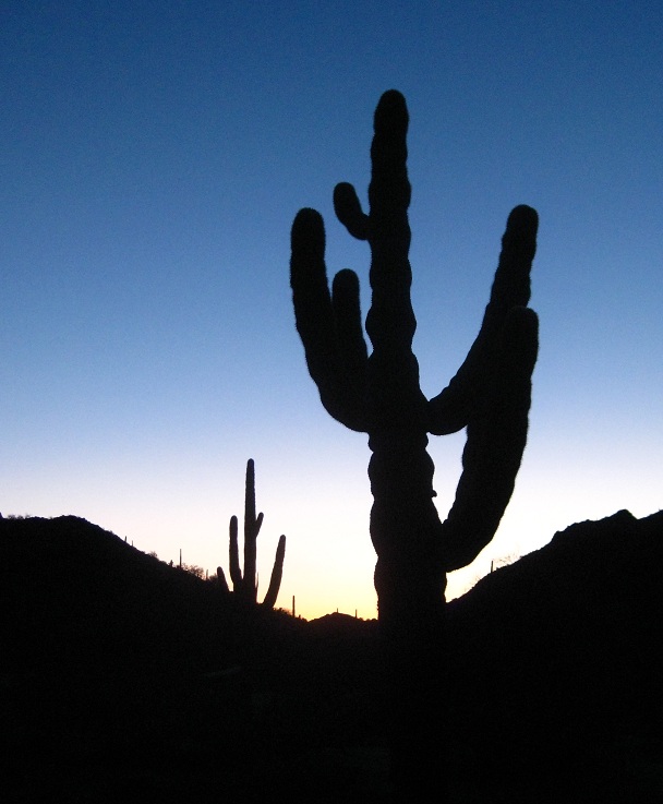 Early Dawn near Butterfield Pass, North Maricopa Mountains Wilderness