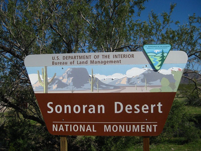 Sonoran Desert National Monument