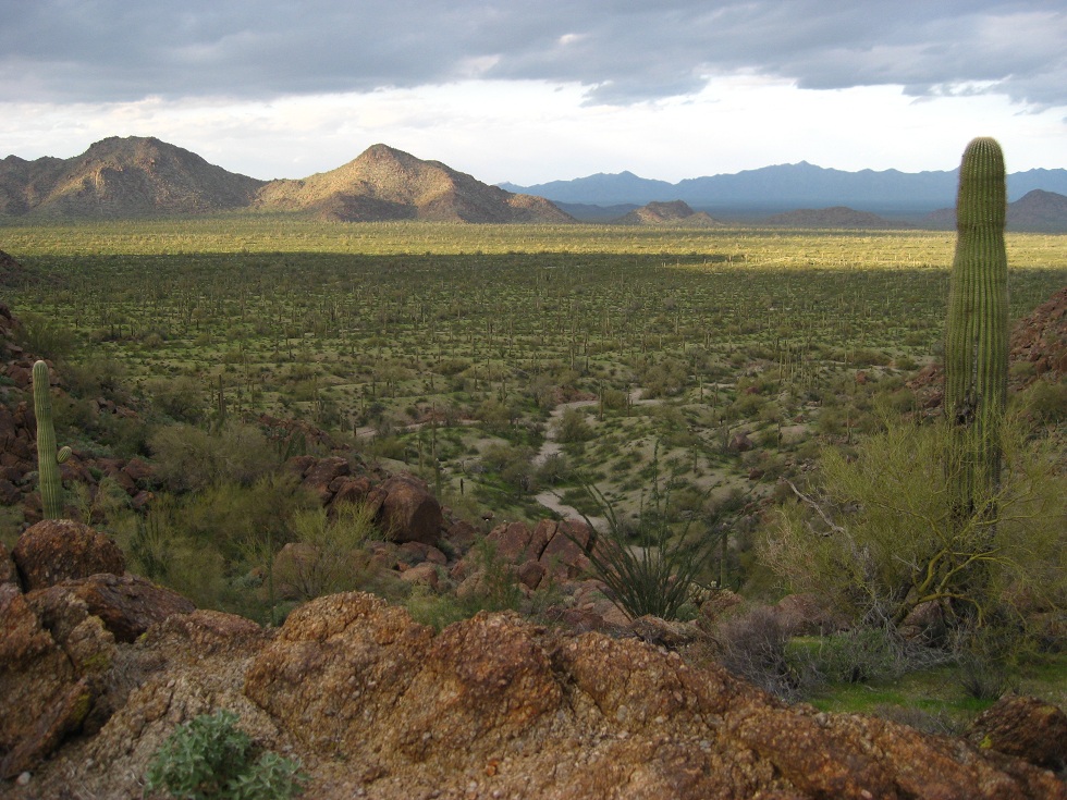 View from the mountain saddle